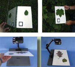 WinFOLIA 多用途叶面积仪 版 型号:UI55-STD4800库号：M12650