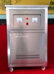 低压电解臭氧发生器 通用型 型号:ZX-TK-DJ-Q04库号：M274324