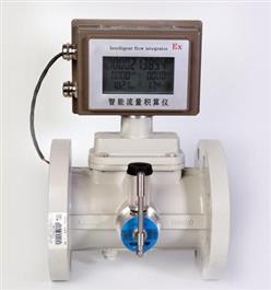 气体涡轮流量计 型号:LR999-DN25库号：M290113