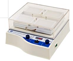 恒温微孔板快速振荡器 型号:JQ01-QB-9006库号：M407899