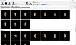 小麦不完善率测定仪 型号:LBMS-II库号：M384085