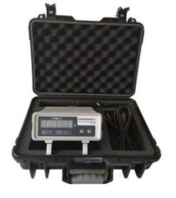 数显热敏电阻测温仪 型号:ZXHD/JW-101T库号：M369996