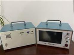 便携式红外线CO2分析仪 型号:ZXO1-GXH-3052E库号：M402092