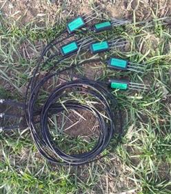 土壤水分传感器 型号:XE48/M31/TM-100库号：M300746