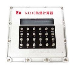 防爆计算器 型号:GF12-GJ210库号：M386534