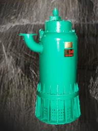 防爆污水电泵 型号:OT711-BQS30-36-7.5库号：M70408