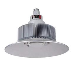 节能免维护LED防爆灯 型号:HR9-BAD91-60库号：M181797