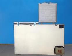 防爆冰柜 型号:ZXHD/BL-300/ws库号：M391618