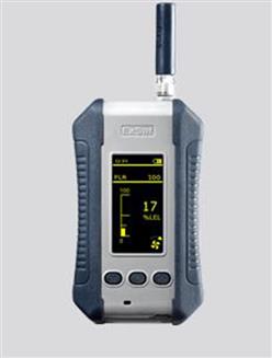 便携式可燃气体检测仪 型号:ST19-ESP210库号：M155171