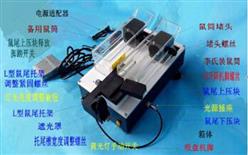 静脉可视大鼠尾注固定器 型号:LM12-YLS-Q10G库号：M396688