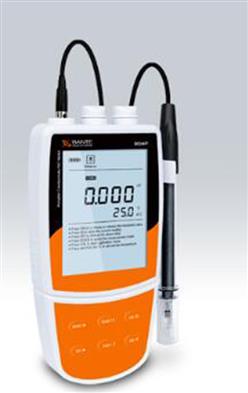 便携式多参数水质分析仪 型号:ZXKZ-Bante904P库号：M394084