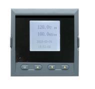 温湿度检测仪 型号:ZXHD/NHR-WS10库号：M396067