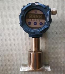 防爆外壳清管指示器 型号:XB299/BXG-02库号：M391743