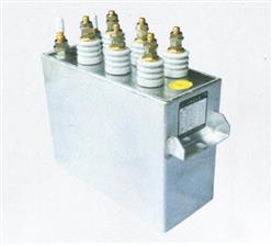 电热电容器 型号:RFM0.75-1000-2.5库号：M382925