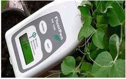 手持式叶绿素荧光仪 型号:JQ977-FP100库号：M20116