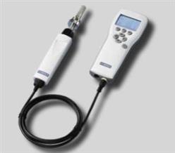 手持式温湿度表 ＋传感器 型号:FL15/MI70*DMP74B库号：M398571