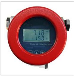 RP计酸度计 型号:KK05-KE1105库号：M385158