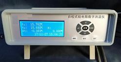 铂电阻数字温度计 0-300℃ 型号:E190-RCY-G库号：M384709