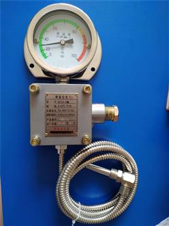 防爆测温仪表  型号:NA511-WTZd-283库号：M10240