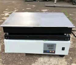 不锈钢恒温电热板 型号:BB91-DB-2库号：M394267