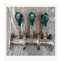 DN50涡街流量计（中西器材） 型号:M334169