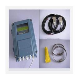固定壁挂式声波流量计 中西器材 型号:ZH98-TDS-100F/M98031