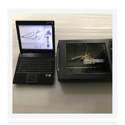 根系分析系统（中西器材） 型号:M348490-GXY-A