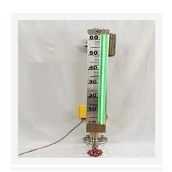 磁敏电子双色液位计DN20（中西器材） 型号:M380089