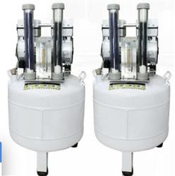 无油空气泵 型号:LK12-AA38L库号：M405781