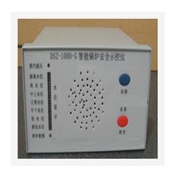 智能锅炉安全示控仪（中西器材） 型号:TW27-DSZ-1000G库号：M103538