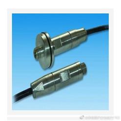 差阻式渗压计 型号:Ta50-SZ-2库号：M401544