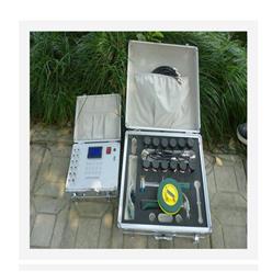 古树名木无损探伤仪（中西器材）LB66-TOP-900库号：M403642