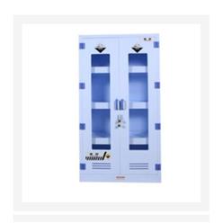 PP药品柜（双开门）中西器材  AYTYPG-Q库号：M367524