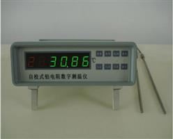 自校式铂电阻数字测温仪 型号:XL36-RCY-3D库号：M366859