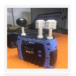 WBGT黑球湿球温度指数仪  型号:MW88-JT2013库号：M19981