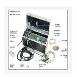 便携式烟气分析仪 型号:WW07-GA-21plus库号：M370146