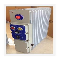 防爆电热油汀/取暖器（中西器材）BDR52/13 库号：M399511