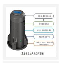 无线智能倾角振动传感器 中西器材 KM1-HC-ZD50库号：M368141