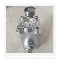 高压流量计（机械式，大30MPA） 型号:SGS库号：M403270