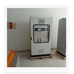 在线式煤气热值分析系统（中西器材） 型号:M334284