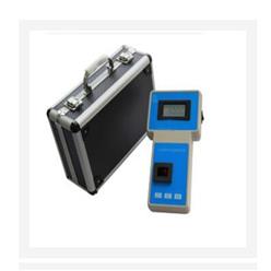 智能便携式臭氧仪(中西器材）ZXHD/CY-1A-2库号：M390897