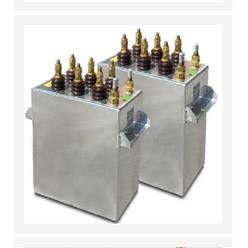 电热电容器 型号:RFM0.75-1000-1S库号：M407680