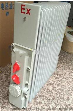 防爆电暖气  3000W 型号:TW133-BDR52/13库号：M38815