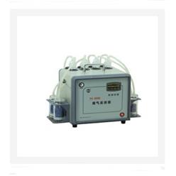 智能烟气采样分析仪 型号:WT100-TH-600库号：M23388