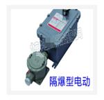 隔爆型电动执行器 型号:KB02-BDF05T-24