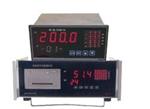 温度巡检仪 XRY24-HAKK-500A16HLS