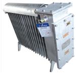 煤矿用隔爆电热取暖器 RB-2000/127(A)
