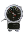 变压器油面温度控制器 BS12-BWY-804ADTH