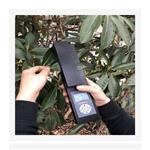 活体叶面积测定仪 （中西器材） M405662