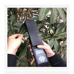 便携式叶面积测定仪（中西器材 TP30-YMJ-A